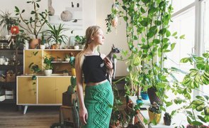 plantas para apartamento resistentes e fáceis de cuidar