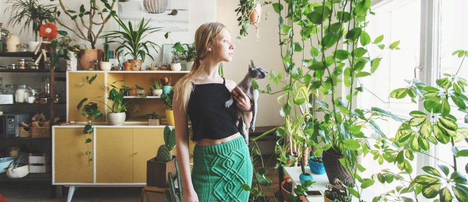 10 plantas para apartamento resistentes e fáceis de cuidar!