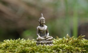 Onde colocar imagens de Buda