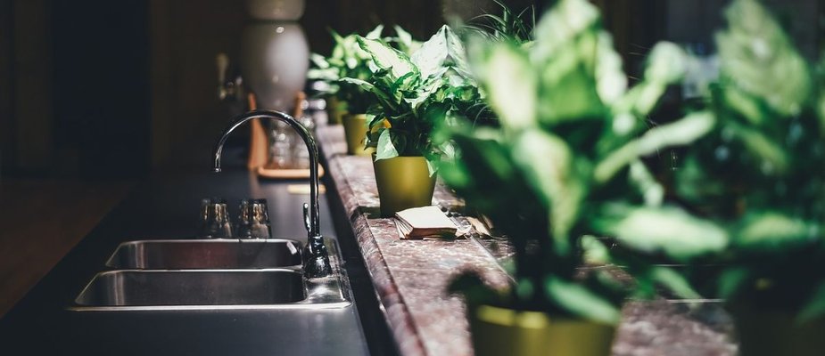Plantas para dentro de casa: Transforme seu lar com verdor e charme!
