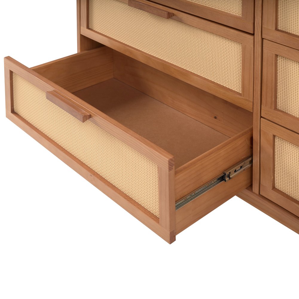 serraltense1306 sfi det